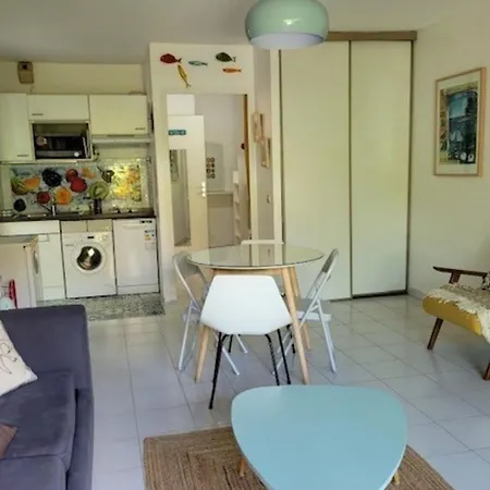 Apartment 30 M With Terrace And Pool Antibes