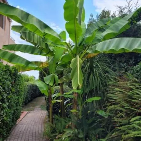 30 M With Terrace And Pool Lejlighed Antibes